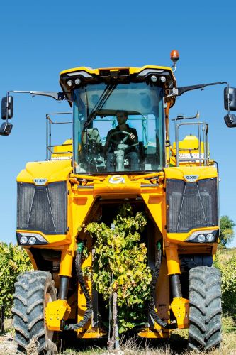 葡萄收割机正沿着葡萄列的精确路线前进