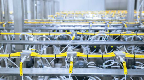 阀门终端的AS-i基础设施，带卫生型扁平电缆绝缘位移连接器