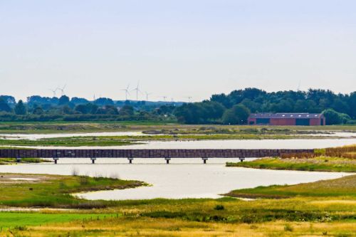 A bridge across the landscape with dunes and water in the Netherlands.