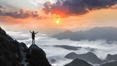 文章的预告图片： 最新成功案例. 我们各个行业的应用报告、案例研究和视频报告展示了我们的客户如何利用ifm解决方案成功节省成本。